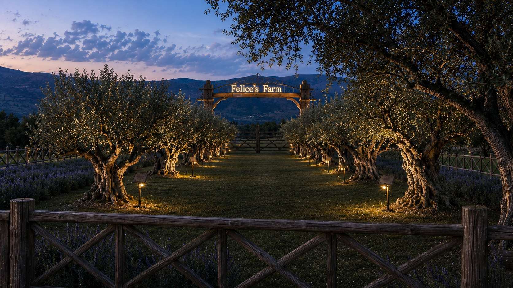 The lit Felice's Farm gate at dusk, with rows of olive trees, lavender, and small lamps along the path